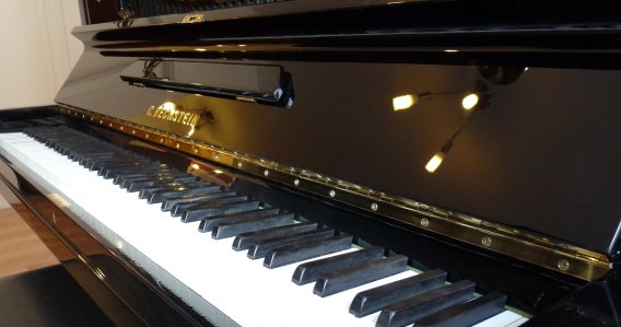 Piano Leiße Logo