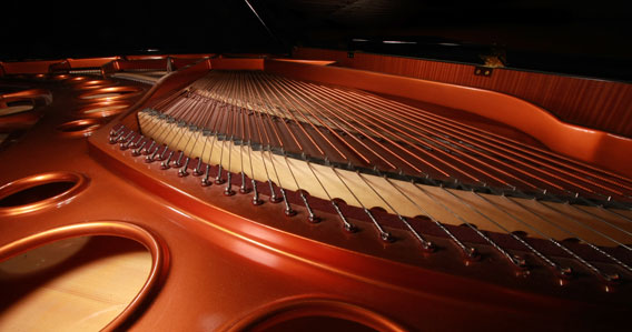 saiten.jpg Piano Leiße Slideshow